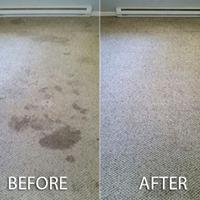 KC Carpet Cleaning & Upholstery Cleaning image 3